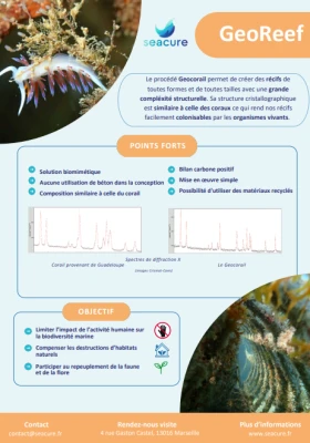 Aperçu Poster GeoReef®