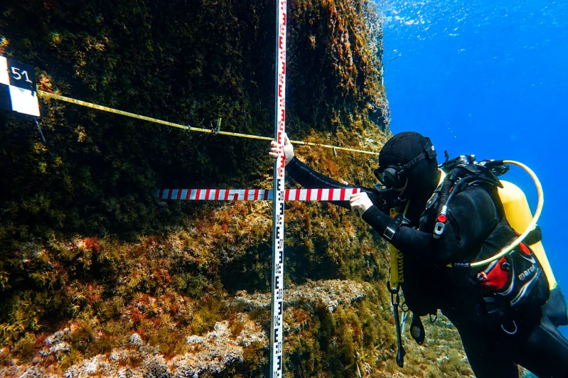 Suivi & diagnostic de la Cassidaigne : une belle mission pour Seacure !