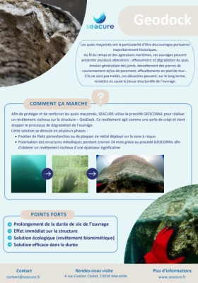 Aperçu Geodock® Poster