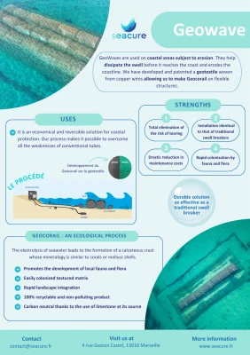 Aperçu Geowave® Poster